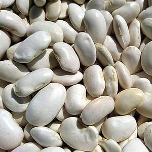 White Beans