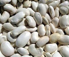 White Beans