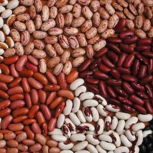 White Beans