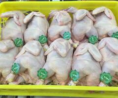 Frozen Chicken
