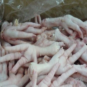 Frozen Chicken