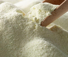 Full Cream Milk Powder