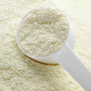 Skimmed Milk Powder