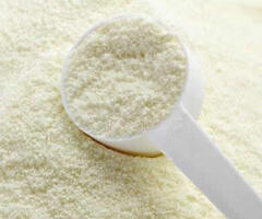 Skimmed Milk Powder