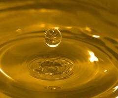Sunflower Oil