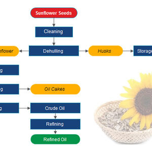 Sunflower Oil