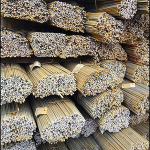 Reinforcing Steel Bar