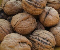 Walnut