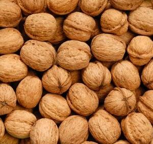 Walnut