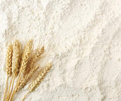 Wheat Flour